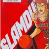 Cuadro con Relieve Slam Dunk