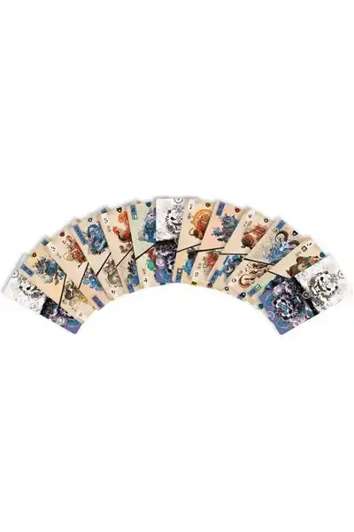 Panda Spin - Imagen 6