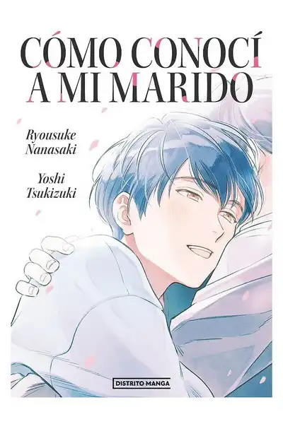 Cómo Conocí a mi Marido